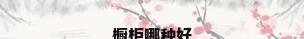 橱柜哪种好