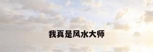 我真是风水大师