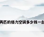 两匹的格力空调多少钱一台