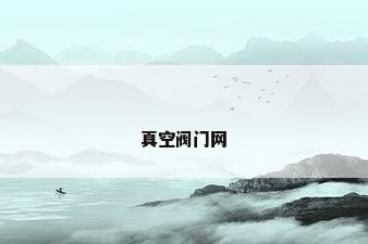 真空阀门网