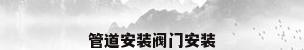 管道安装阀门安装
