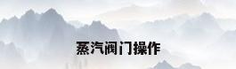 蒸汽阀门操作