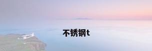 不锈钢t