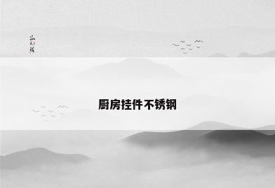 厨房挂件不锈钢