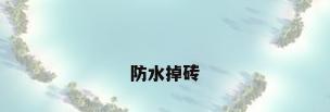 防水掉砖