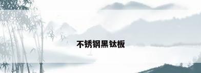 不锈钢黑钛板