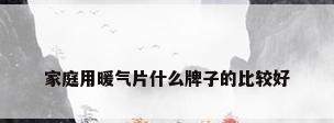 家庭用暖气片什么牌子的比较好