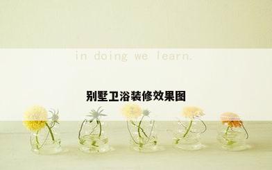 别墅卫浴装修效果图