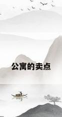 公寓的卖点