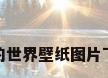 我的世界壁纸图片下载