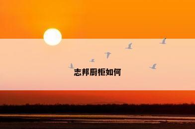 志邦厨柜如何
