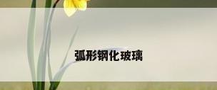 弧形钢化玻璃
