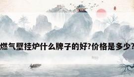 燃气壁挂炉什么牌子的好?价格是多少?