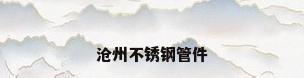 沧州不锈钢管件