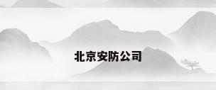 北京安防公司