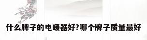 什么牌子的电暖器好?哪个牌子质量最好