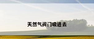 天然气阀门吸进去