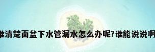 谁清楚面盆下水管漏水怎么办呢?谁能说说啊?