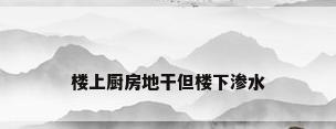 楼上厨房地干但楼下渗水