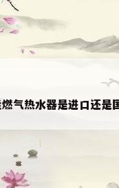 威能燃气热水器是进口还是国产?