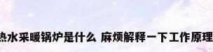 热水采暖锅炉是什么 麻烦解释一下工作原理。