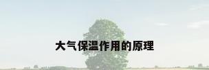 大气保温作用的原理