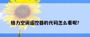 格力空调遥控器的代码怎么看呢?