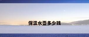 保温水壶多少钱