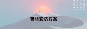 智能安防方案