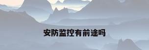 安防监控有前途吗