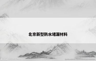 北京新型防水堵漏材料