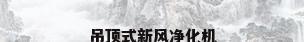 吊顶式新风净化机