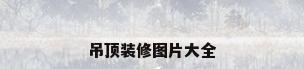 吊顶装修图片大全