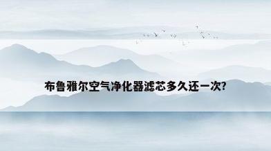 布鲁雅尔空气净化器滤芯多久还一次?