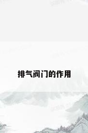 排气阀门的作用