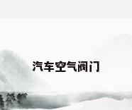 汽车空气阀门