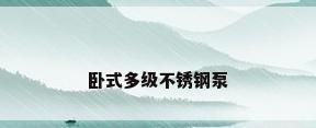 卧式多级不锈钢泵