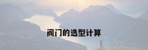 阀门的选型计算