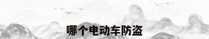 哪个电动车防盗