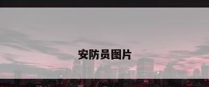 安防员图片