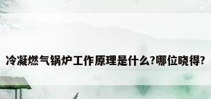 冷凝燃气锅炉工作原理是什么?哪位晓得?