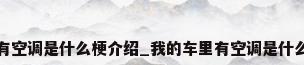 我的车里有空调是什么梗介绍_我的车里有空调是什么梗是什么