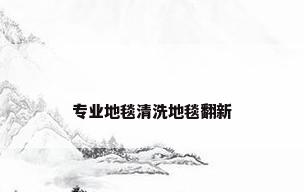 专业地毯清洗地毯翻新