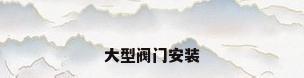大型阀门安装