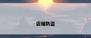 店铺防盗