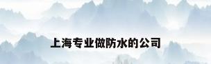 上海专业做防水的公司