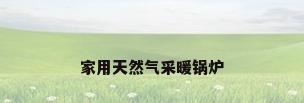家用天然气采暖锅炉