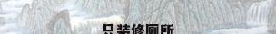 只装修厕所
