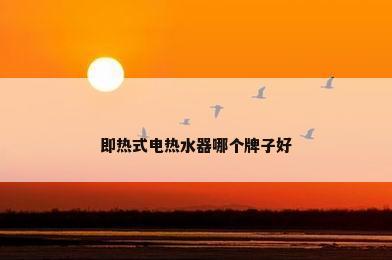 即热式电热水器哪个牌子好
