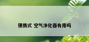 便携式 空气净化器有用吗